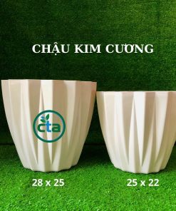 Chậu nhựa kim cương