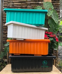 Khay trồng hoa đủ màu sắc