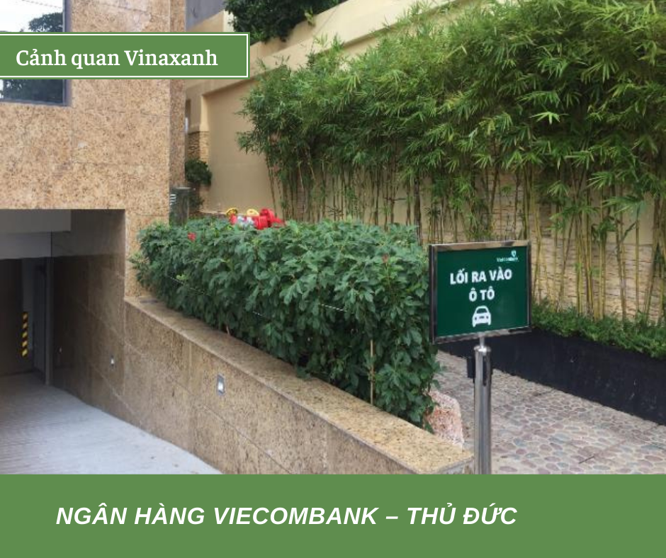 Thiết kế, thi công cảnh quan ngân hàng Vietcombank Thủ Đức