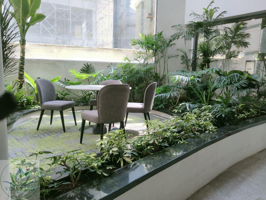 Chăm sóc cảnh quan toà nhà tại Thủ Đức