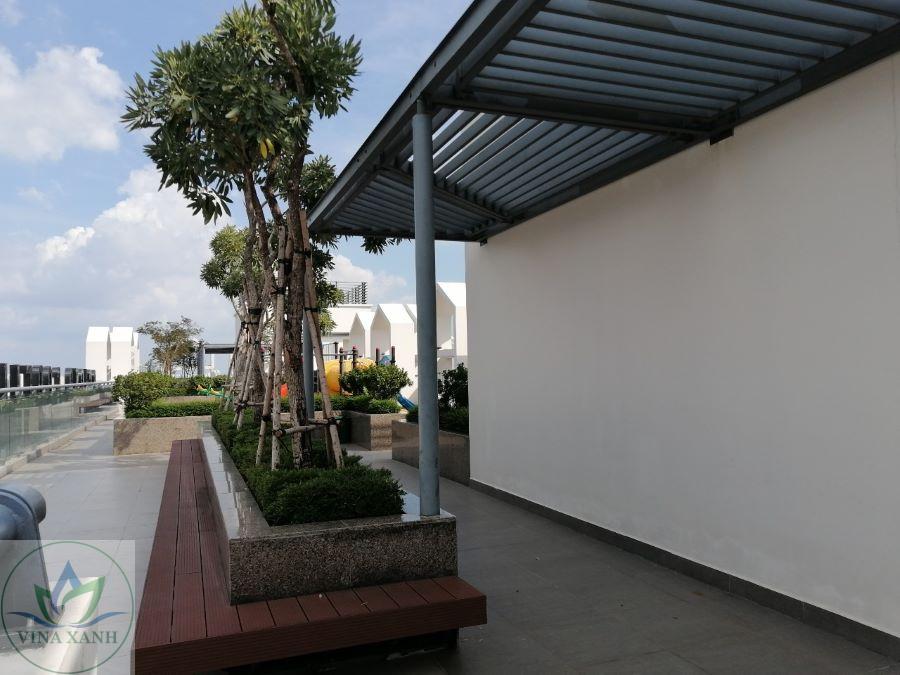 Chăm sóc cảnh quan toà nhà tại TPHCM