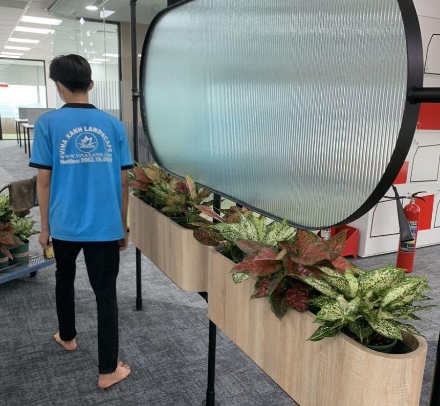 Đơn vị cho thuê cây sự kiện tại Thủ Đức uy tín