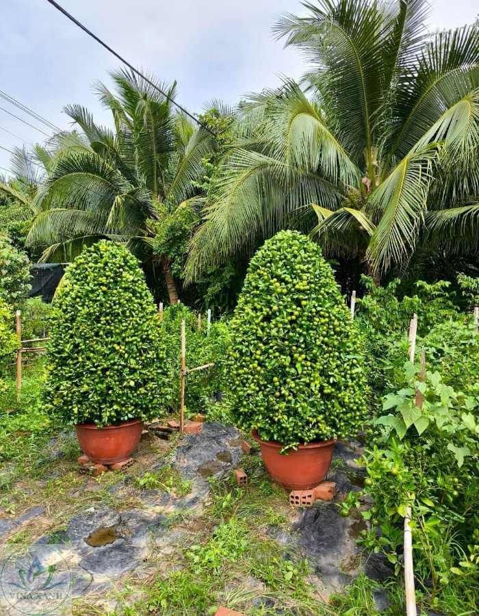 tac-thap-trang-tri (1)