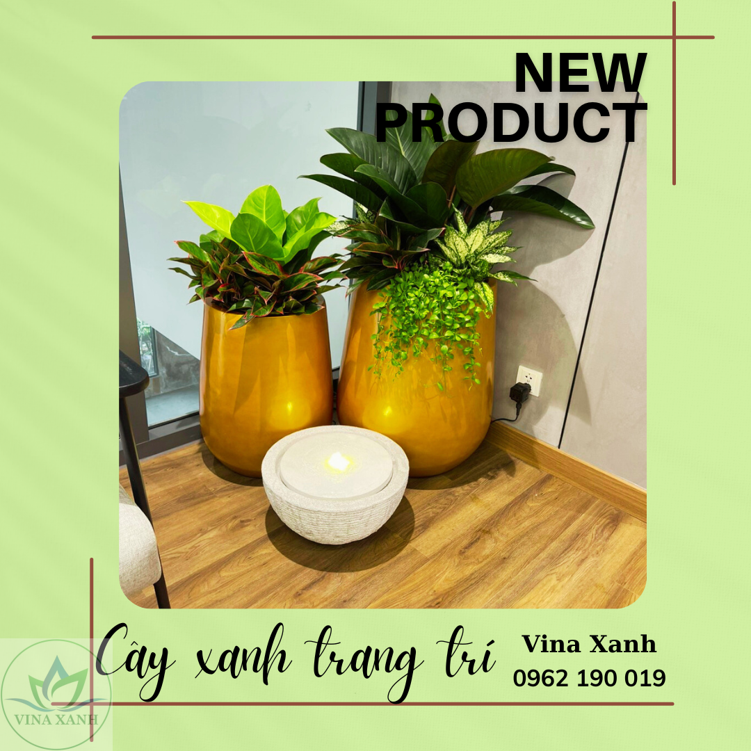 chau-composite-vang-gold