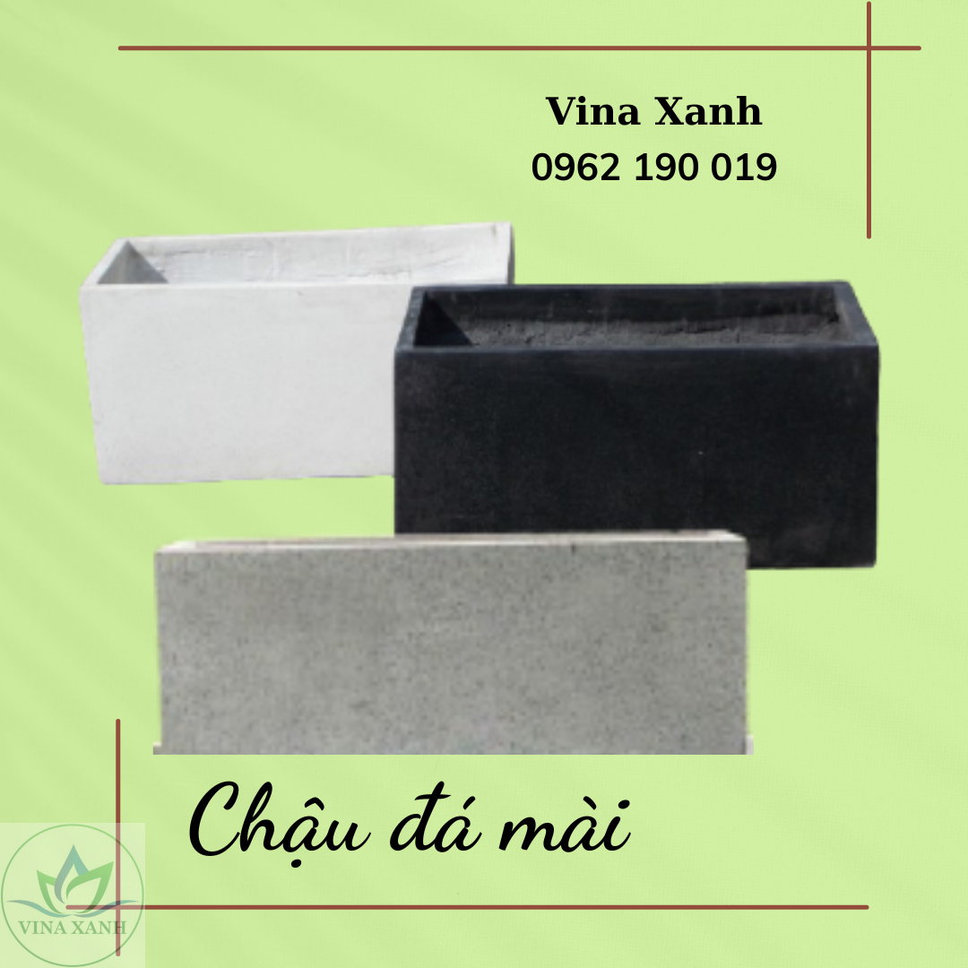 chau-da-mai-chu-nhat-vinaxanh