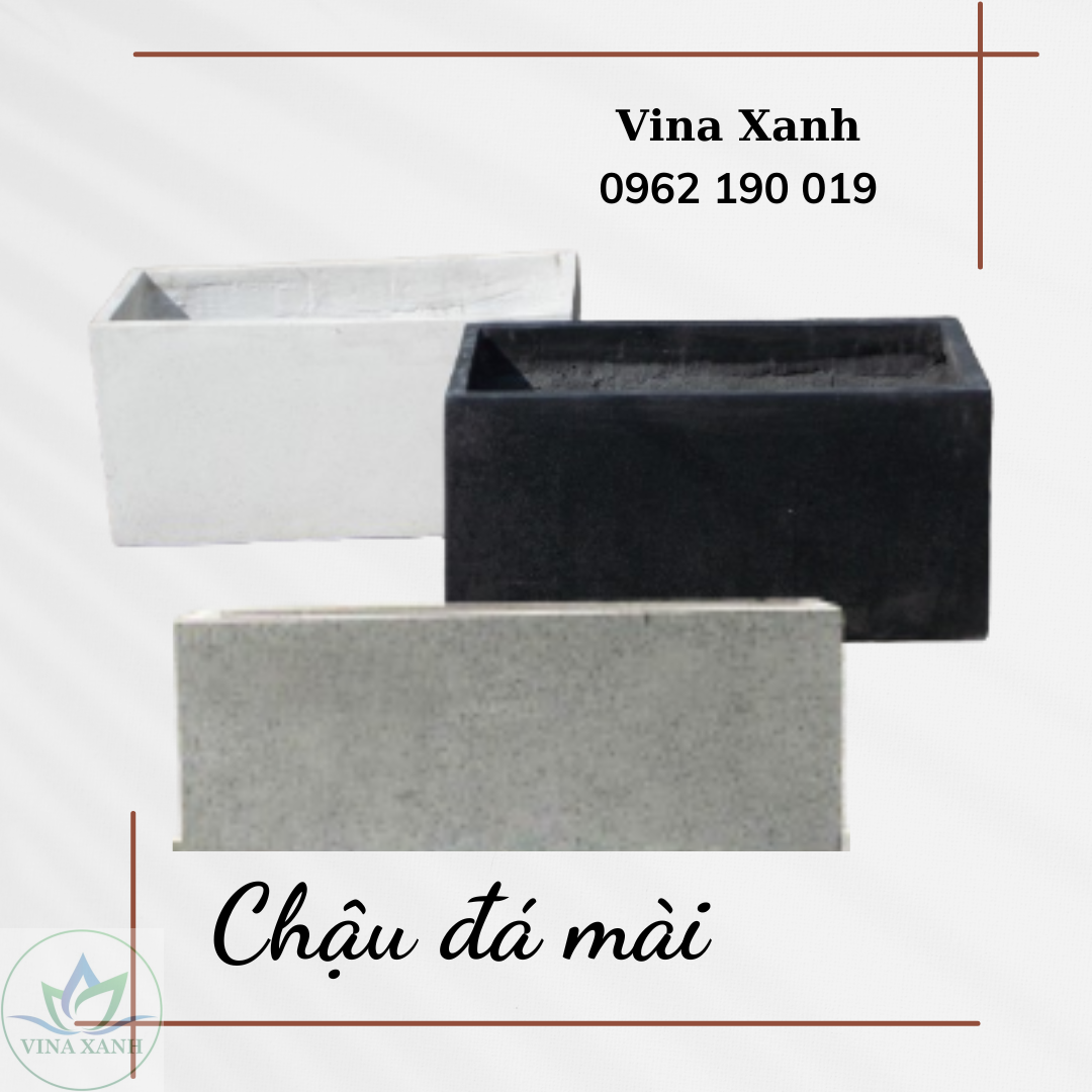 chau-da-mai-chu-nhat