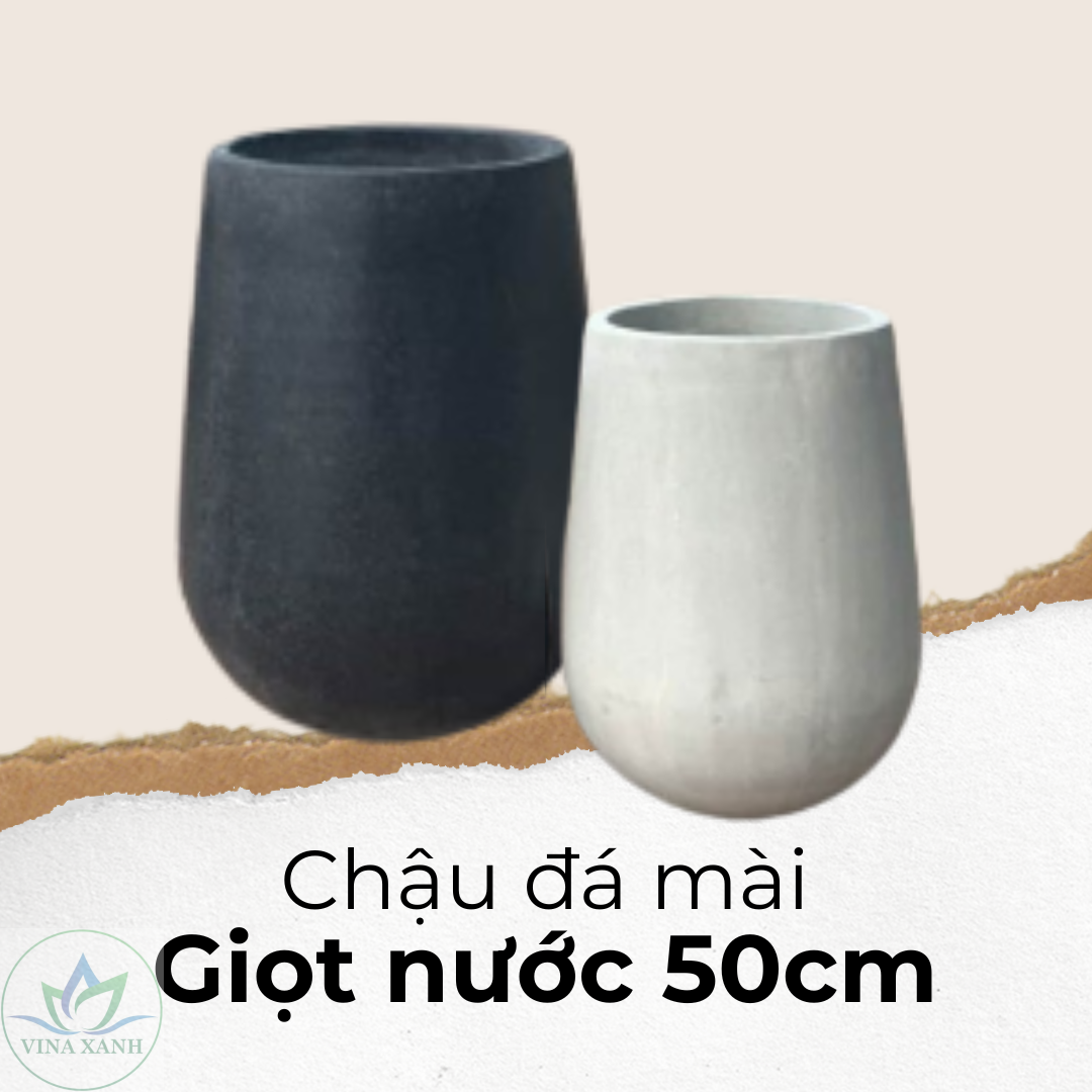 chau-da-mai-giot-nuoc-xam