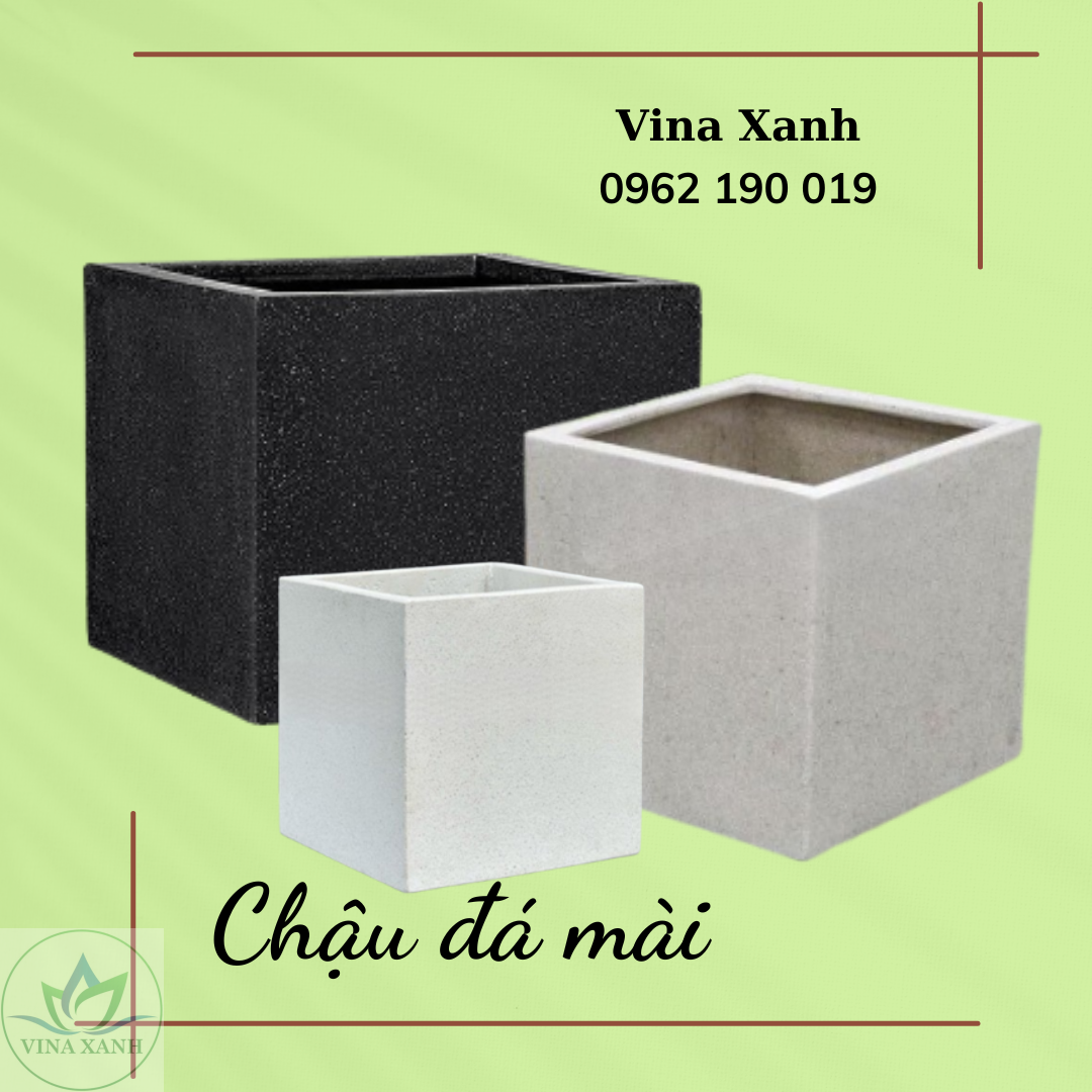 chau-da-mai-vuong-vinaxanh