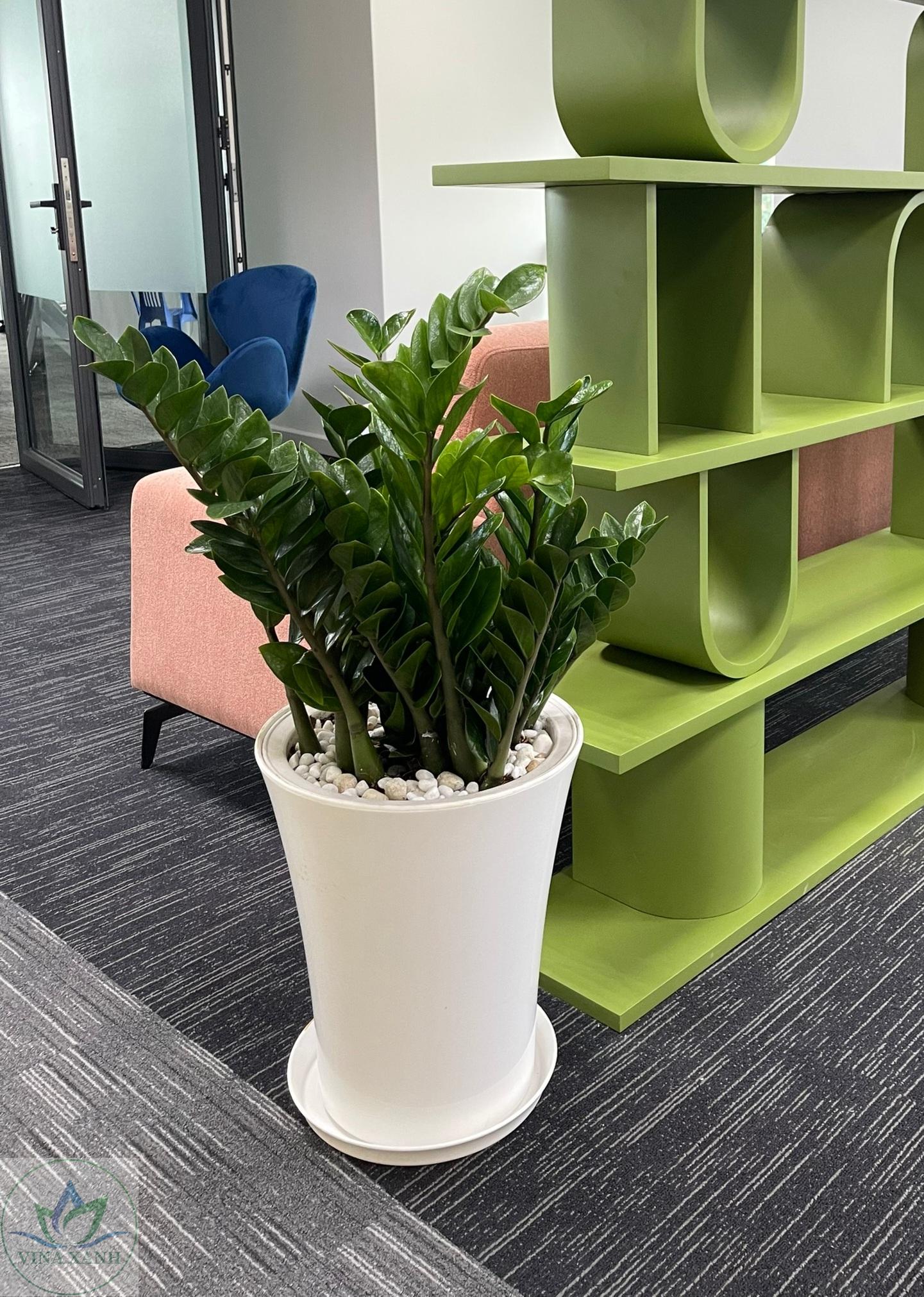 kim-tien-chau-nhua-cao-cap-vinaxanh