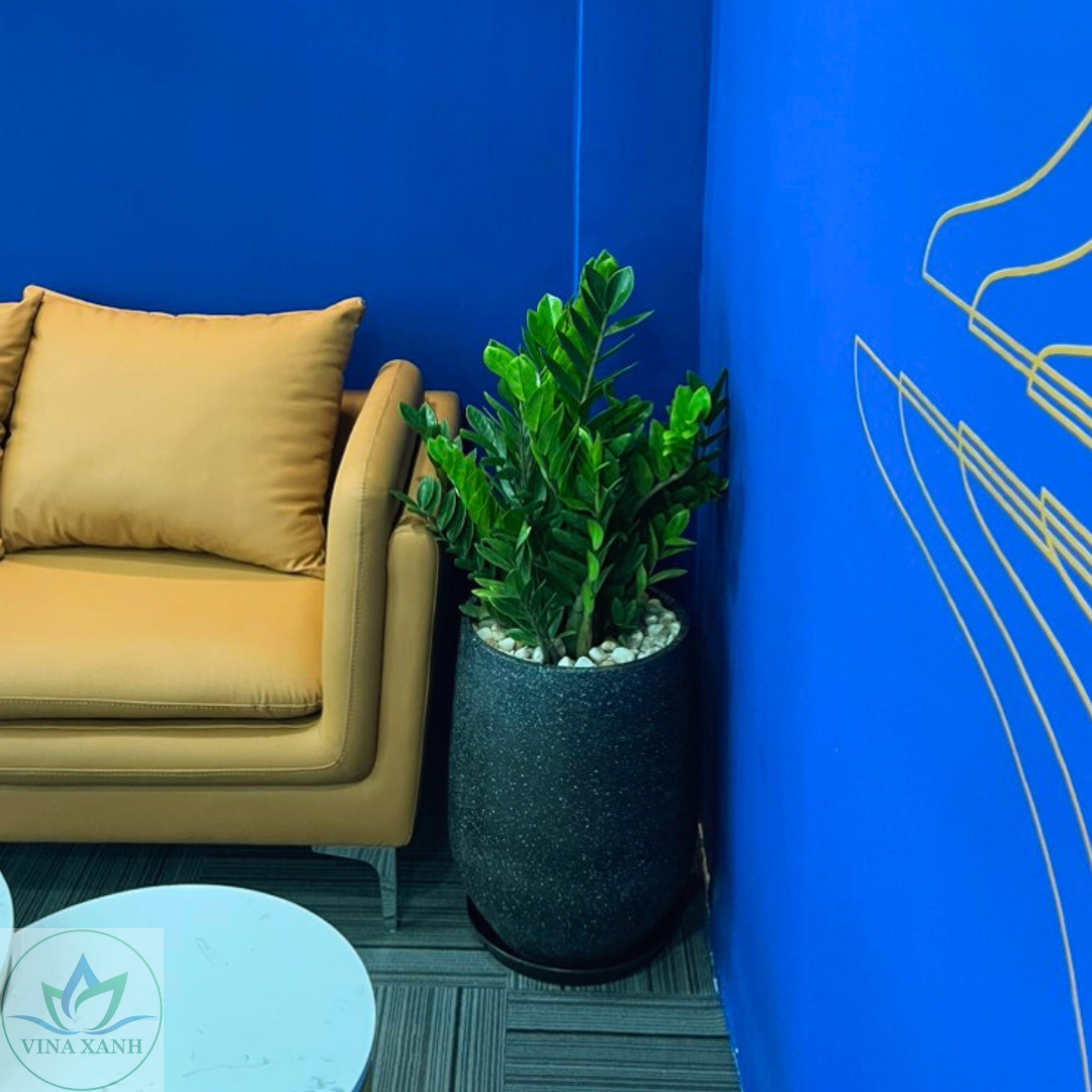 kim-tien-chau-composite