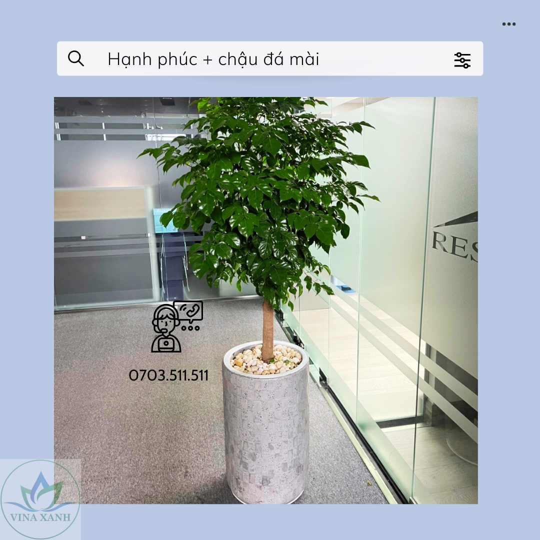 hanh-phuc