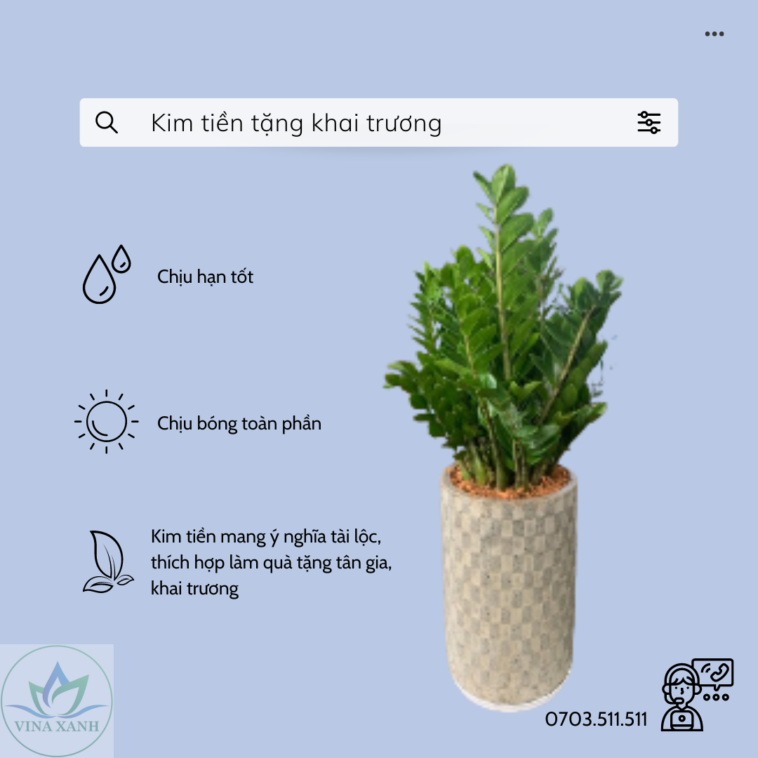 kim-tien-tang-khai-truong