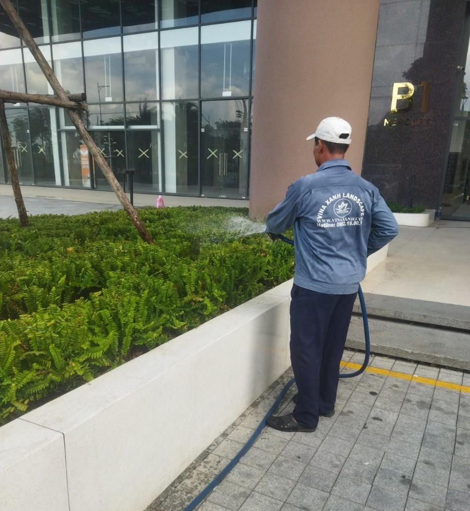 chăm sóc cảnh quan tòa nhà tại Gò Vấp
